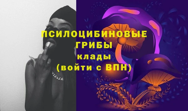 соль курить ск Каменка