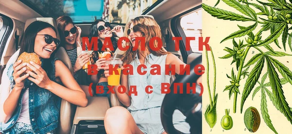 соль курить ск Каменка