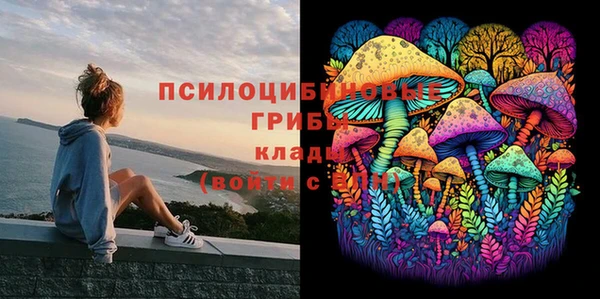 соль курить ск Каменка