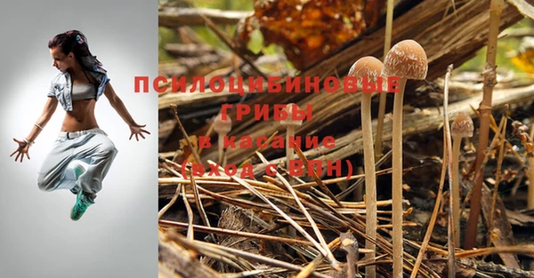 соль курить ск Каменка